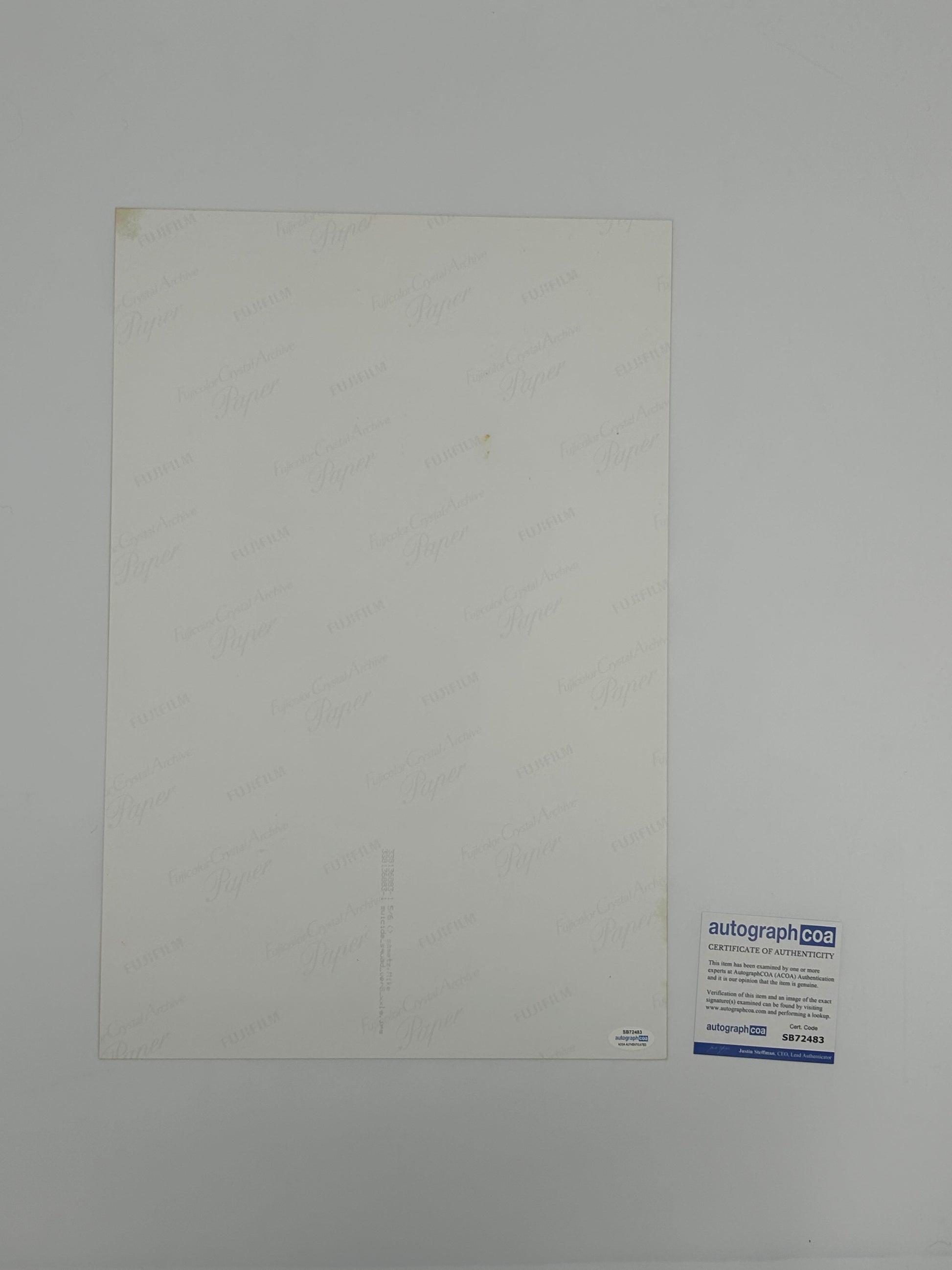 Photo of Will Smith Signed "Suicide Squad" 12x18 Poster (ACOA) at InkedAuction.com.