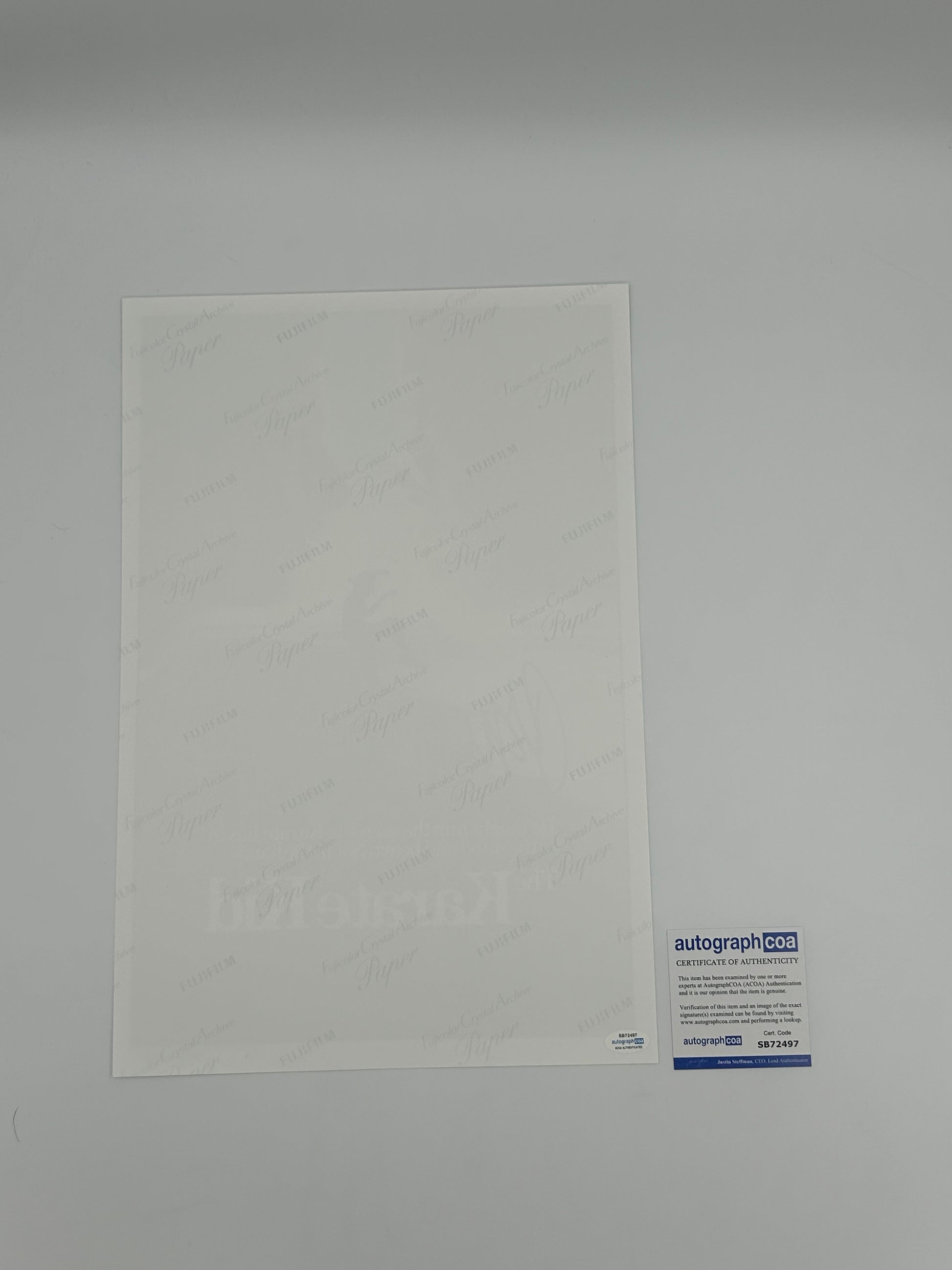 Photo of Ralph Macchio Signed "The Karate Kid" 12x18 Poster (ACOA) at InkedAuction.com.